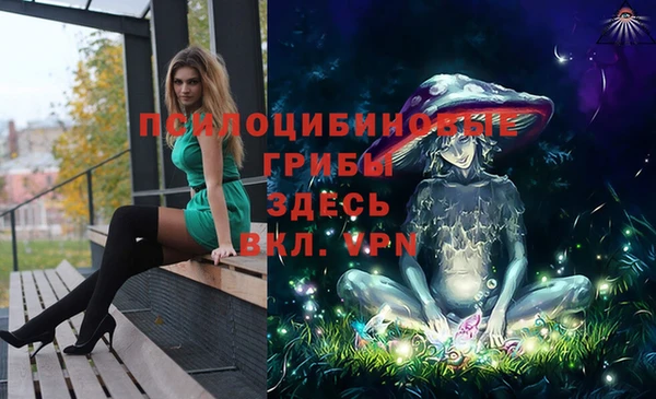 спиды Абинск