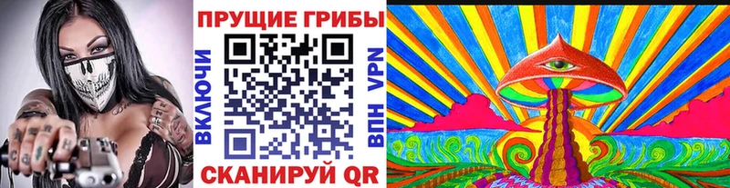 Псилоцибиновые грибы Psilocybine cubensis  Архангельск 