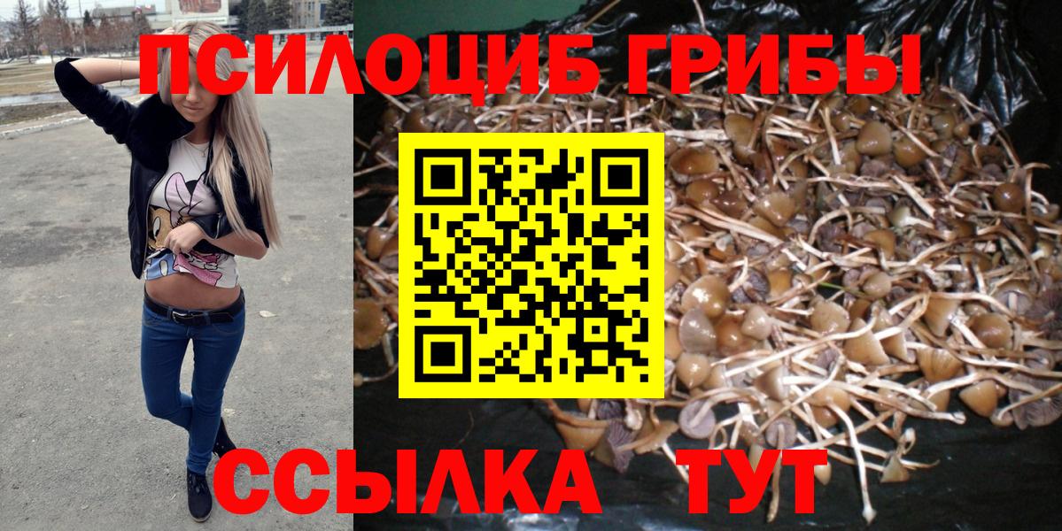Псилоцибиновые грибы ЛСД  Псилоцибиновые грибы Magic Shrooms  Архангельск  Вход с VPN 
